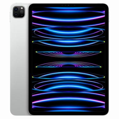 Apple iPad Pro 11" Wi-Fi + Cellular 2022 512GB silber – Ansicht 1