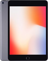 Apple iPad mini 5 7,9 64GB [Wi-Fi] space grau – Ansicht 1