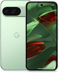 Google Pixel 9 Dual SIM 256GB wintergreen – Ansicht 1