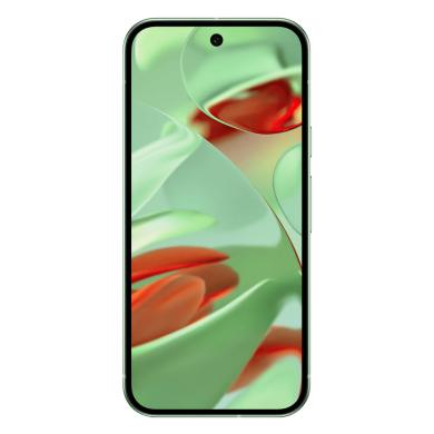 Google Pixel 9 256GB Wintergreen – Ansicht 1
