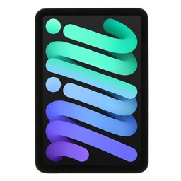 iPad mini (6. Generation)