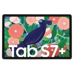 Galaxy Tab S7+