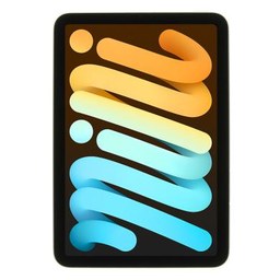 iPad mini (6. Generation)